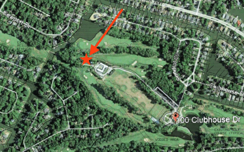 Ocean Pines board approves plan to build tree-style cell tower